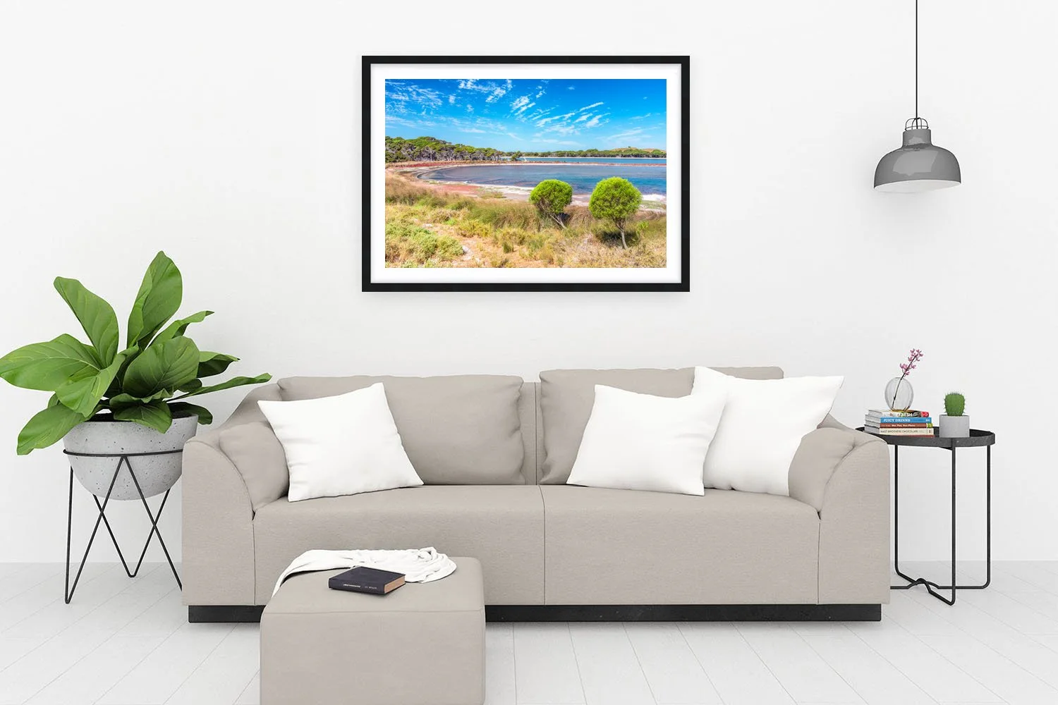 LAKE TIMPERLEY - COASTAL PITTOSPORUM BLACK.jpg