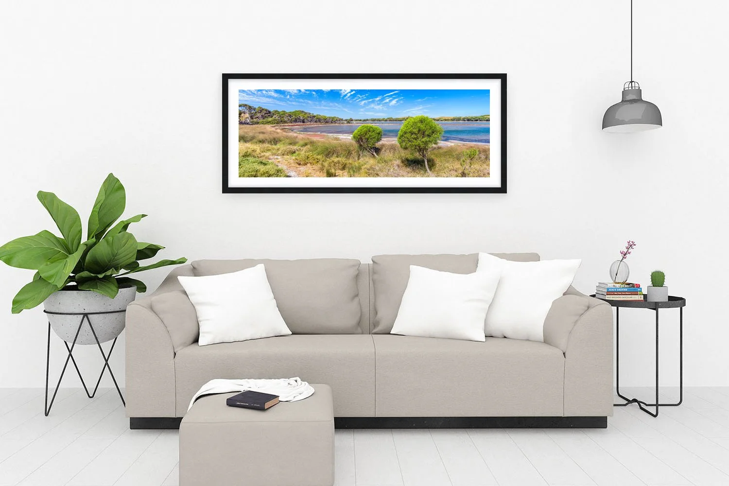 LAKE TIMPERLEY - COASTAL PITTOSPORUM BLACK.jpg