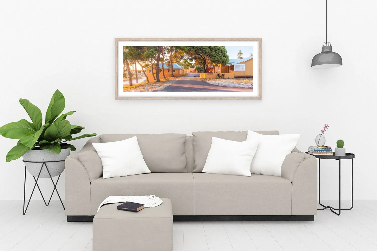 THOMSON BAY - ROTTNEST PINING OAK.jpg