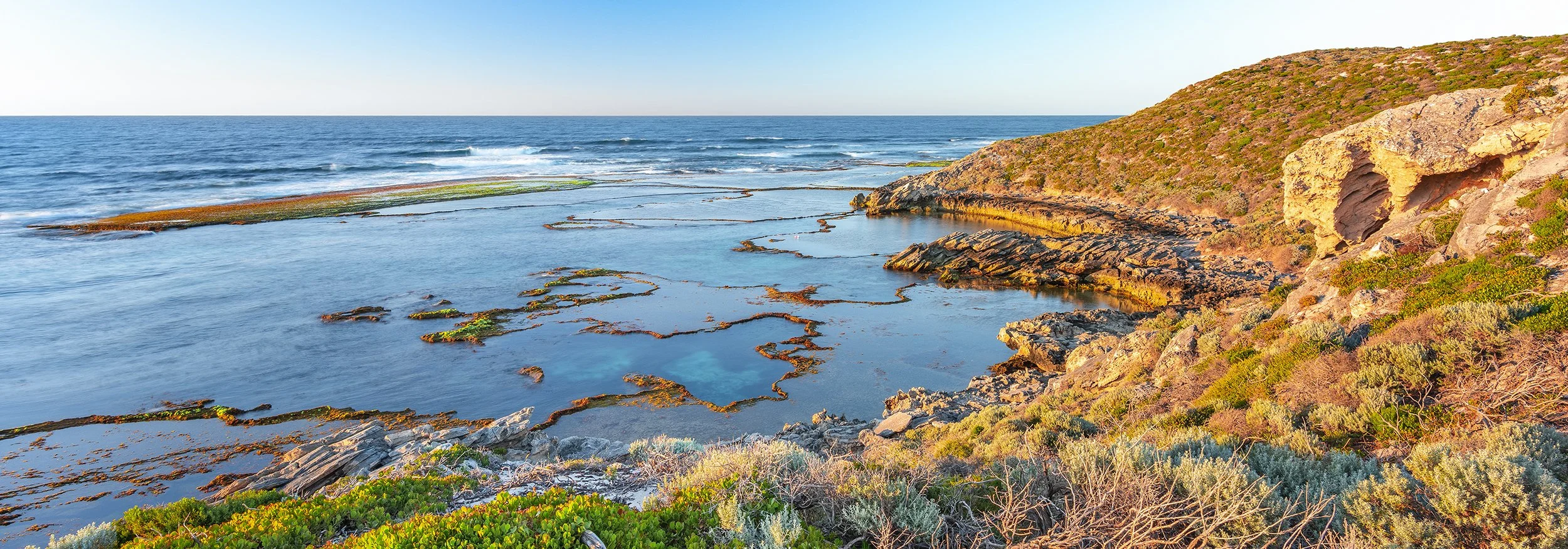 BULLET REEF - CRAY DAYS.jpg