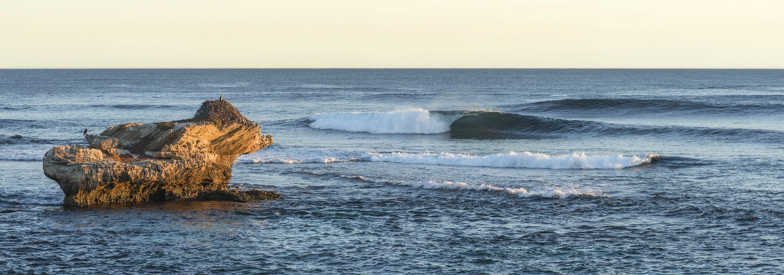 SALMON POINT - THE LATE SESH.jpg