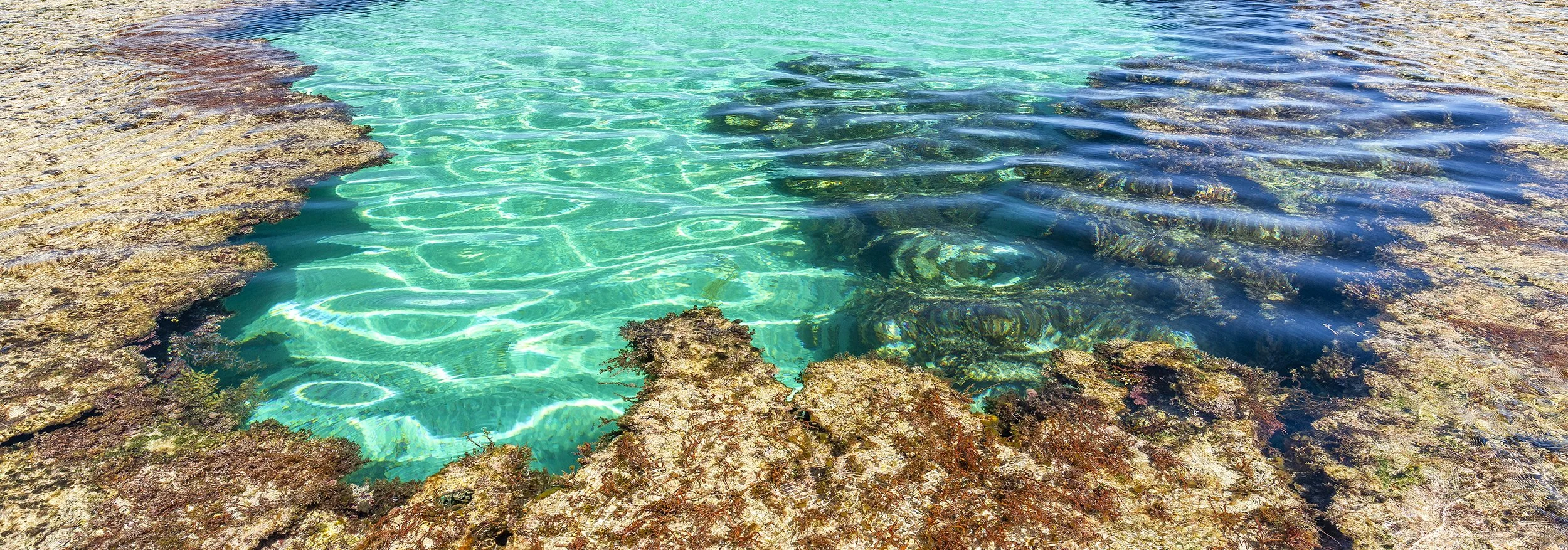 ROTTNEST ISLAND - ROCKPOOL.jpg