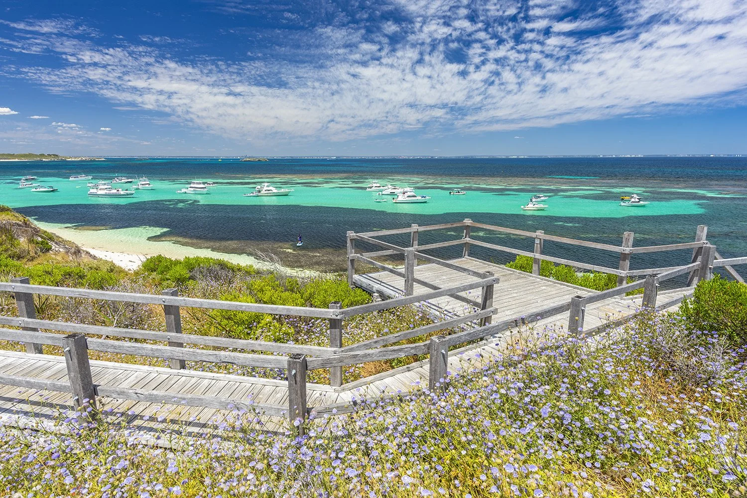 PARKER POINT - DAISY DAYS.jpg