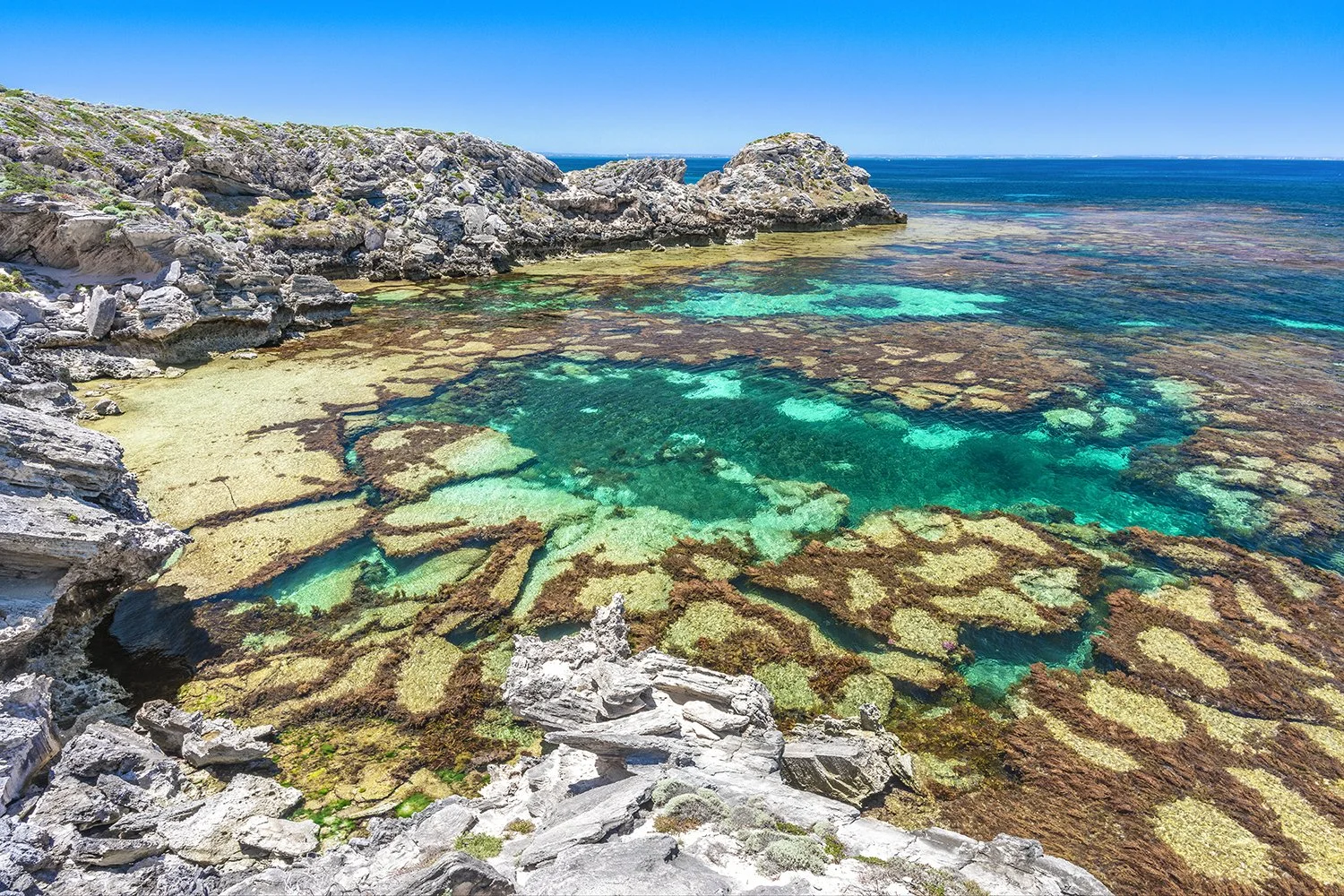 PARKER POINT - JEANNIES POOLS.jpg