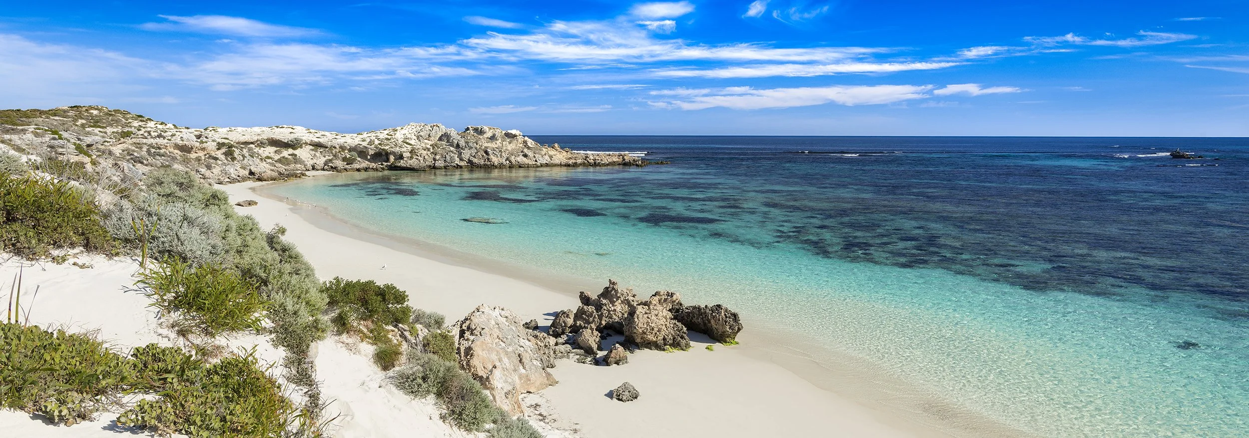 SALMON BAY - MAGIC MAY ARVOS.jpg