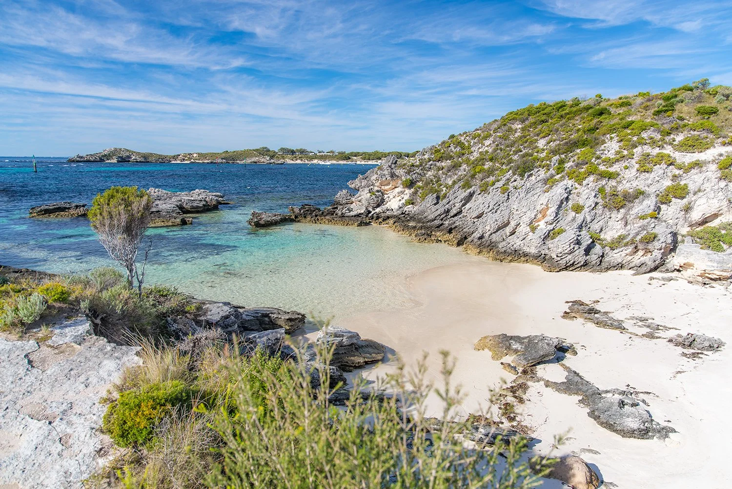 ROTTNEST ISLAND - LITTLE LITTLE PARAKEET.jpg