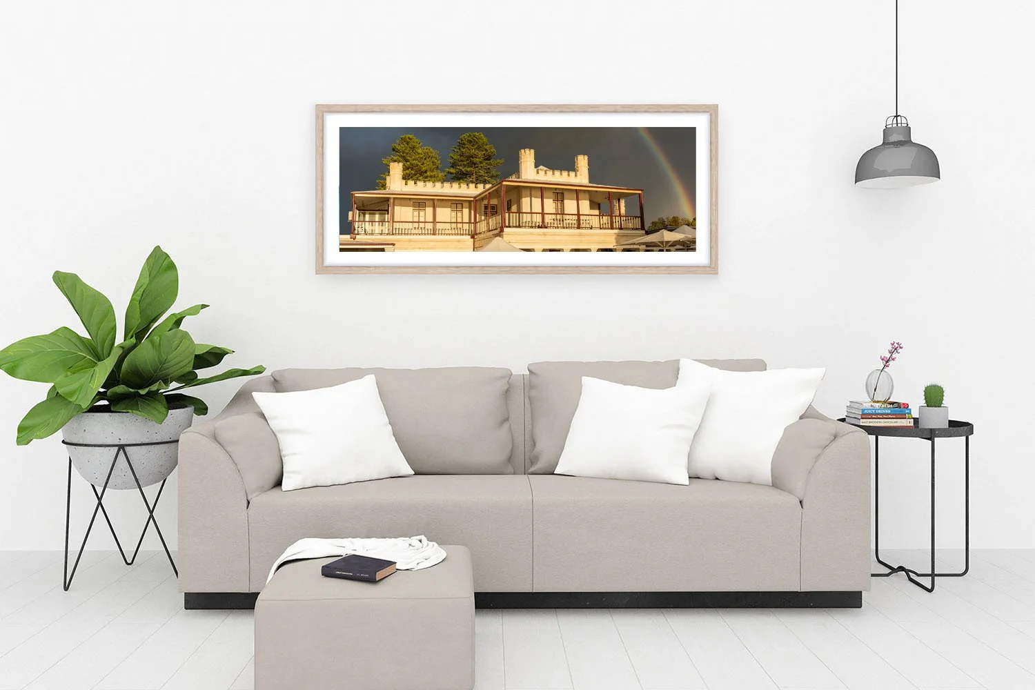 THOMSON BAY - GOLDEN SHOWERS OAK.jpg