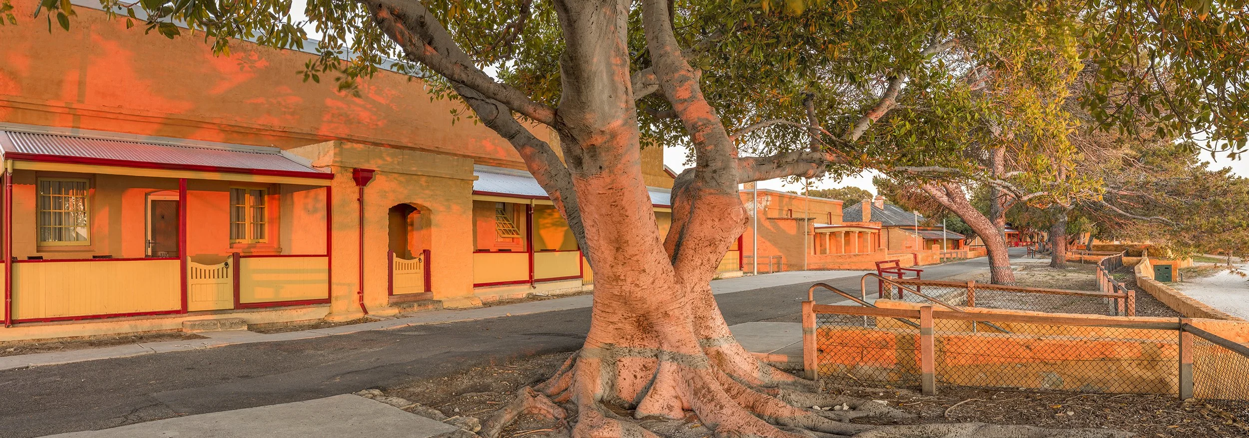 VINCENT WAY - GOOD MORNING ROTTNEST.jpg