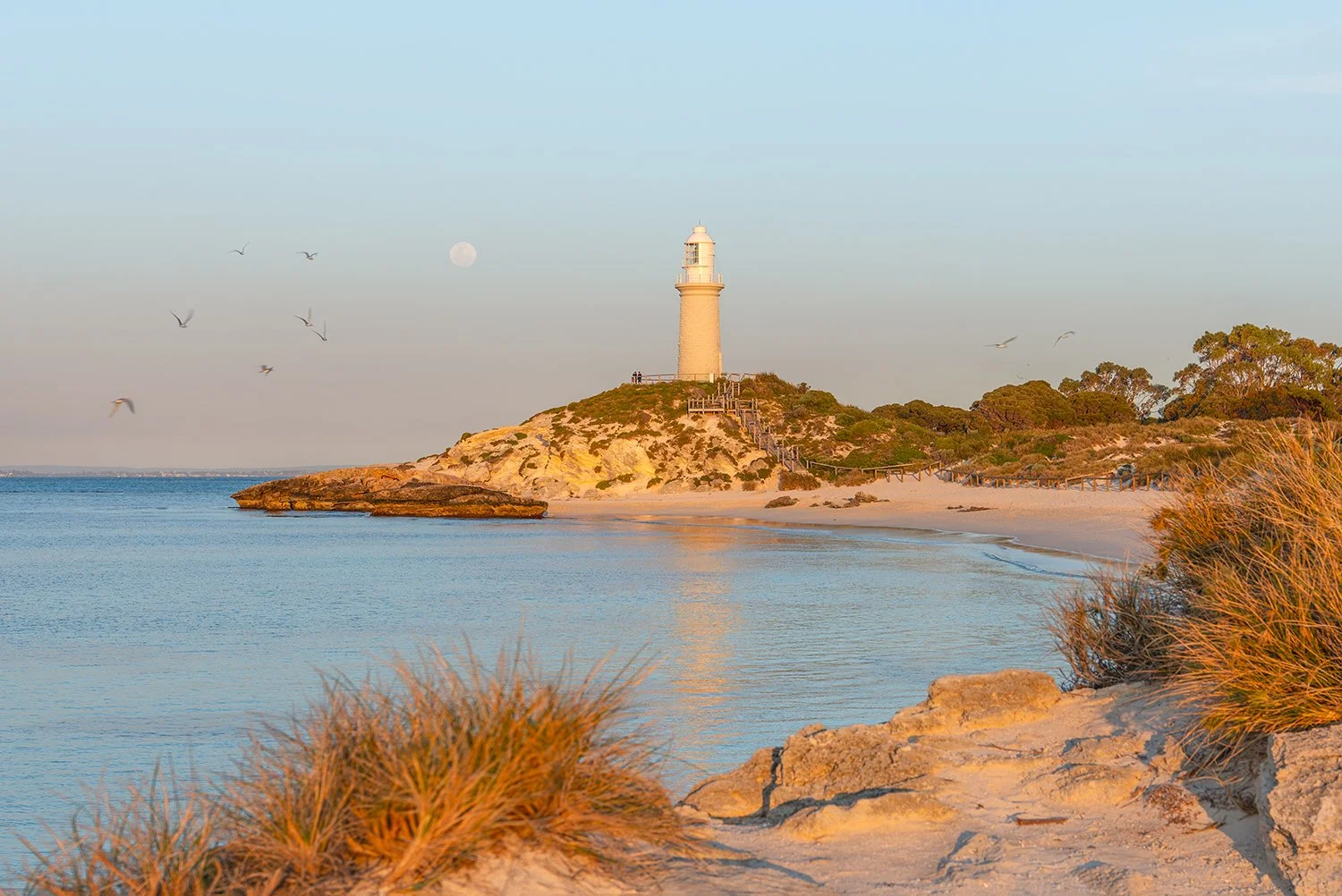 PINKY BEACH - THE ICONIC (CROP).jpg