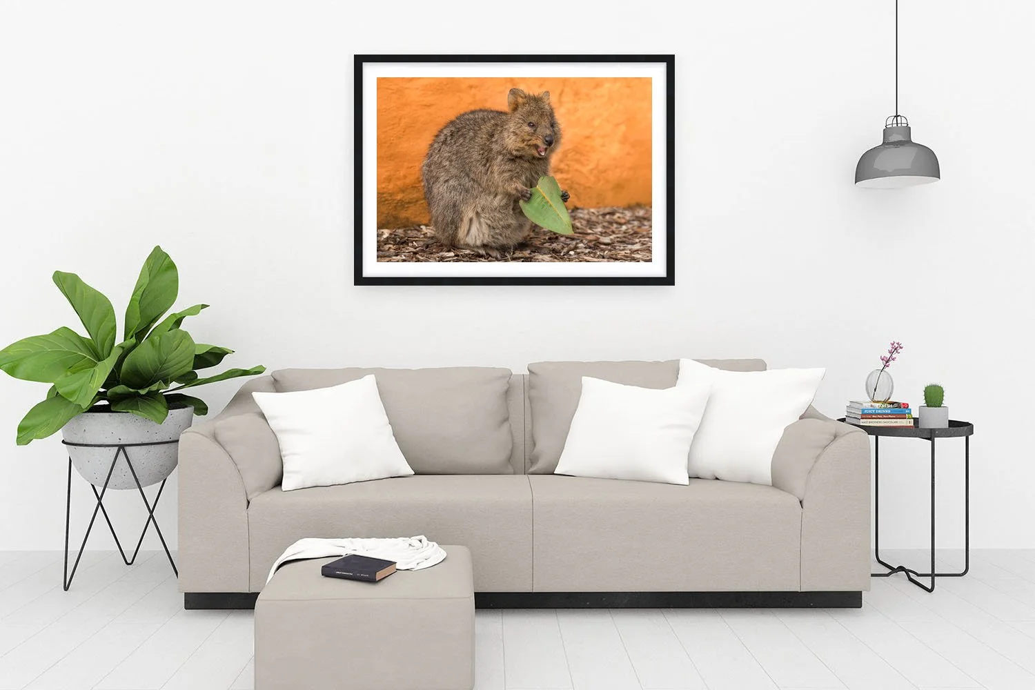 ROTTNEST ISLAND - QUOKKA LOVE BLACK.jpg