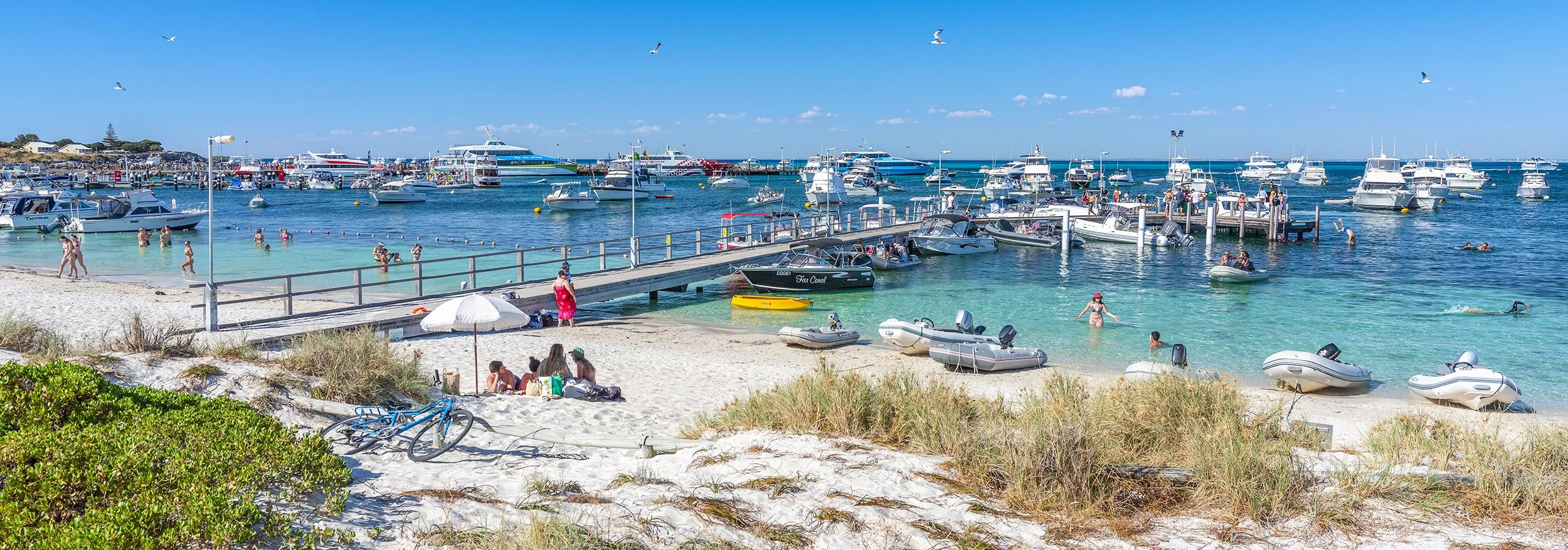 THOMSON BAY - SUMMER SCENE.jpg