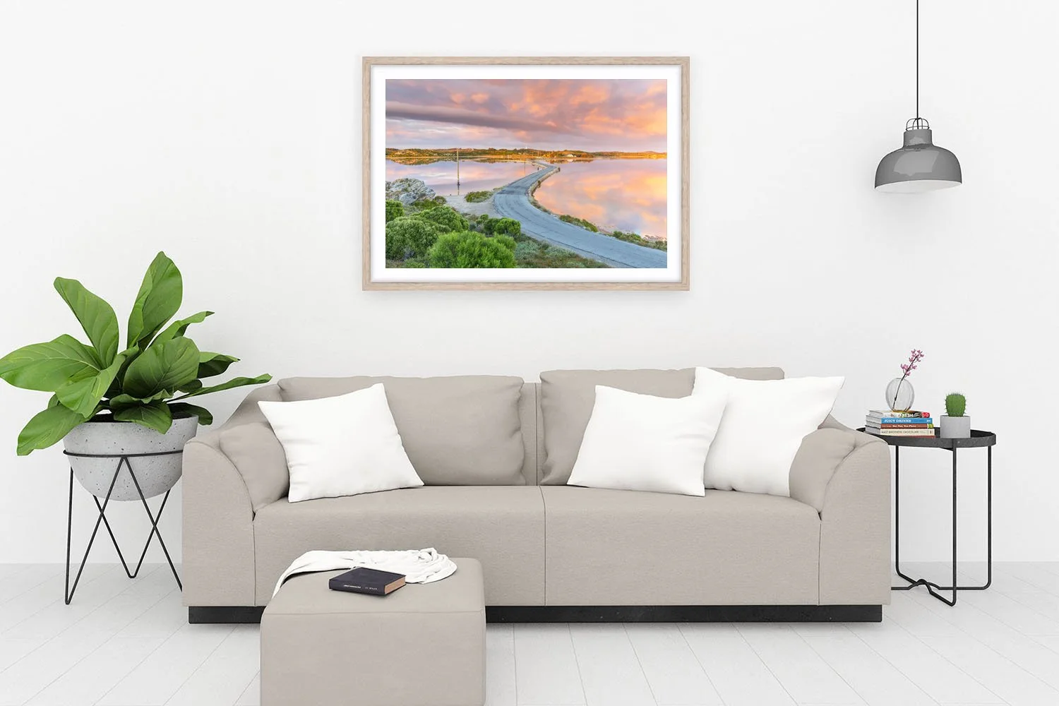 ROTTNEST ISLAND - THE CAUSEWAY OAK.jpg