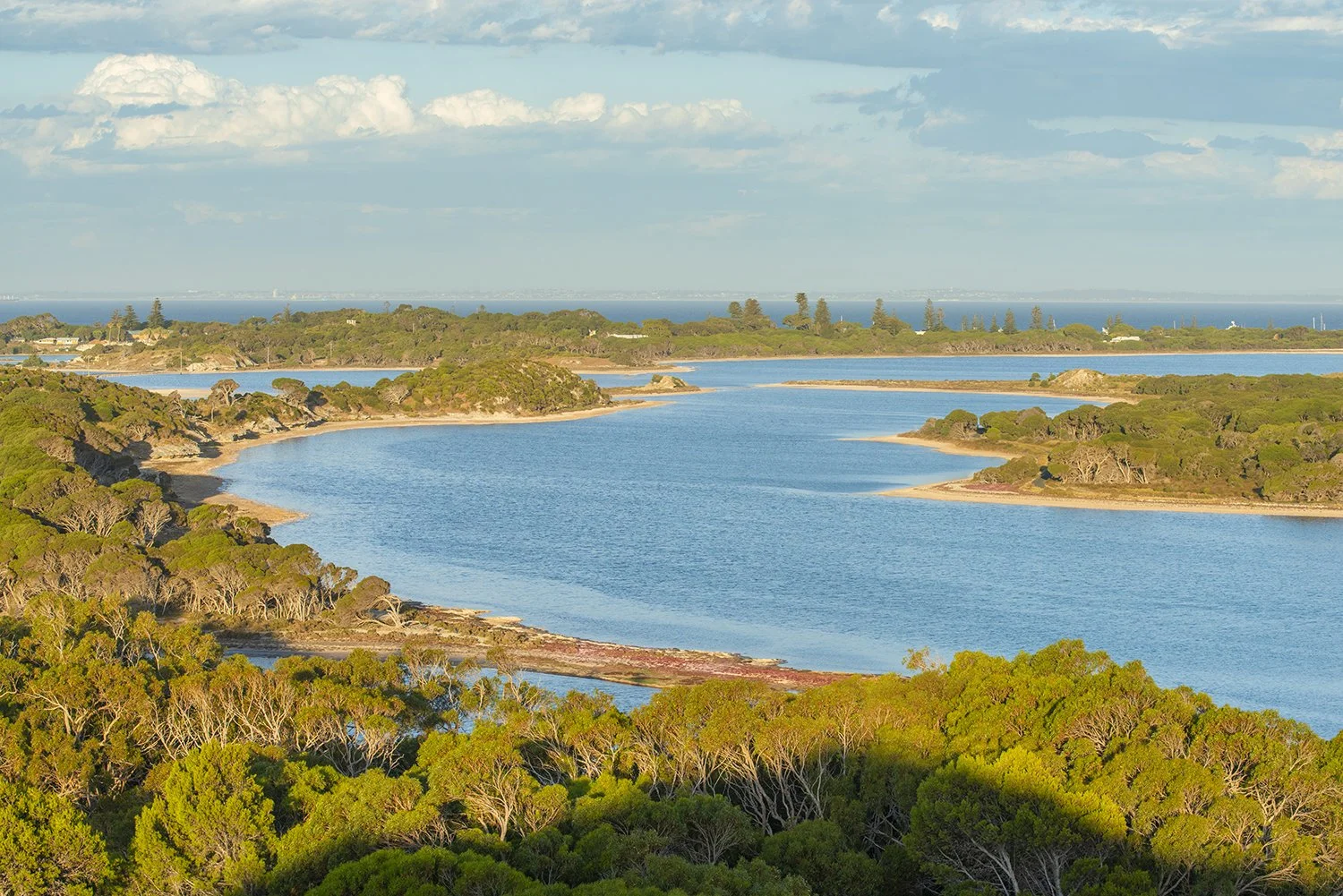 OLIVER HILL - SERPENTINE SUNSETS.jpg