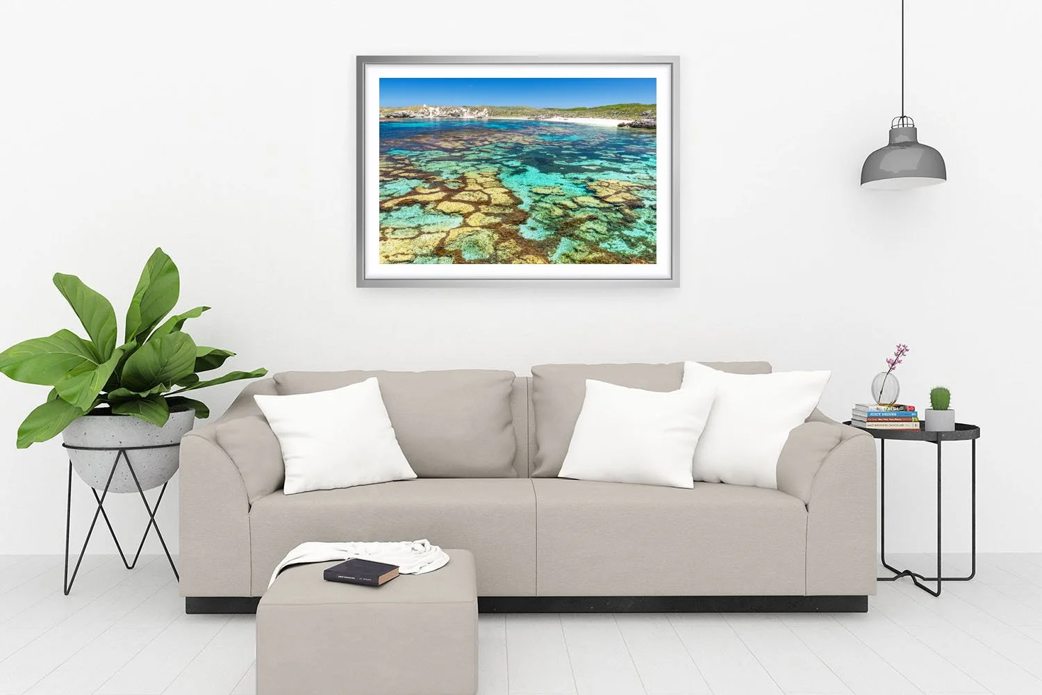 MARY COVE - ALGAL POLYGONS SILVER.jpg