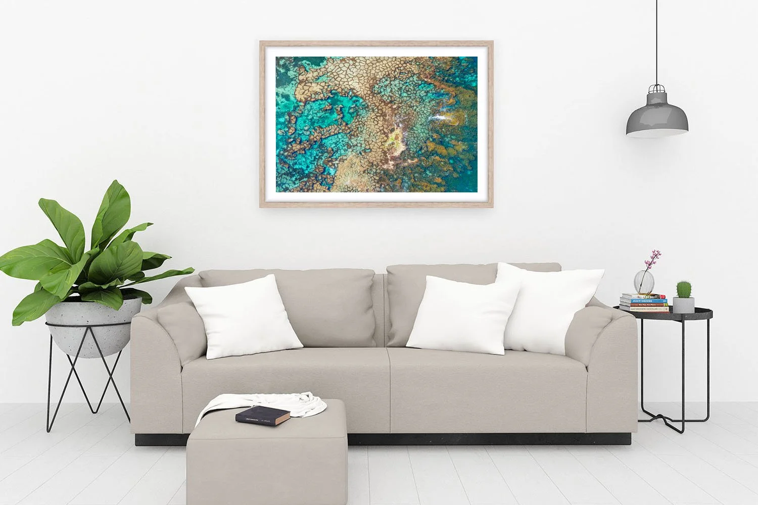 HAYWARD CAPE - ALGAL POLYGONS OAK.jpg