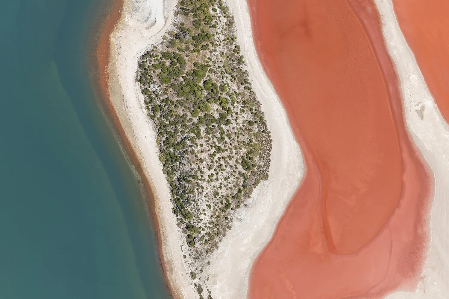 PEARSE LAKE - COLOUR SHIFTS 32.jpg