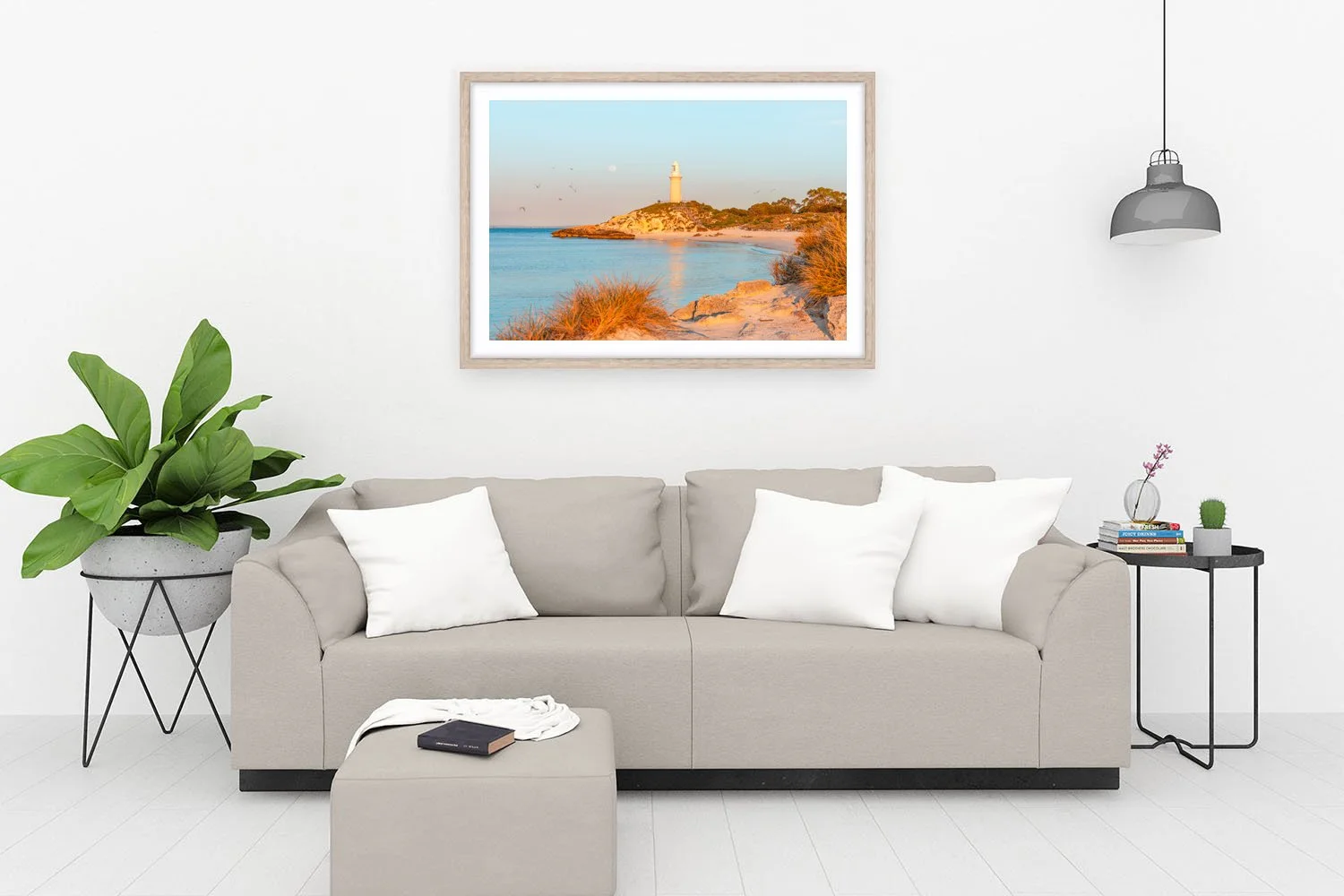 PINKY BEACH - THE ICONIC OAK.jpg