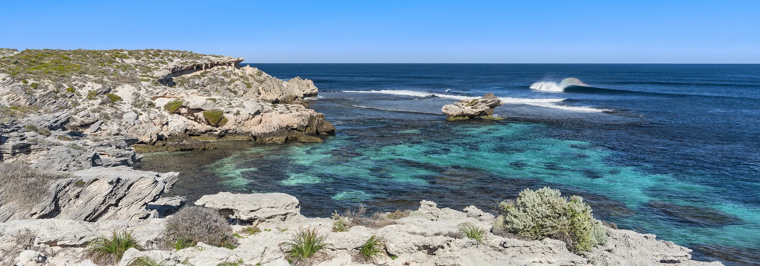 SALMON POINT - CHICKENS PERFECTION.jpg