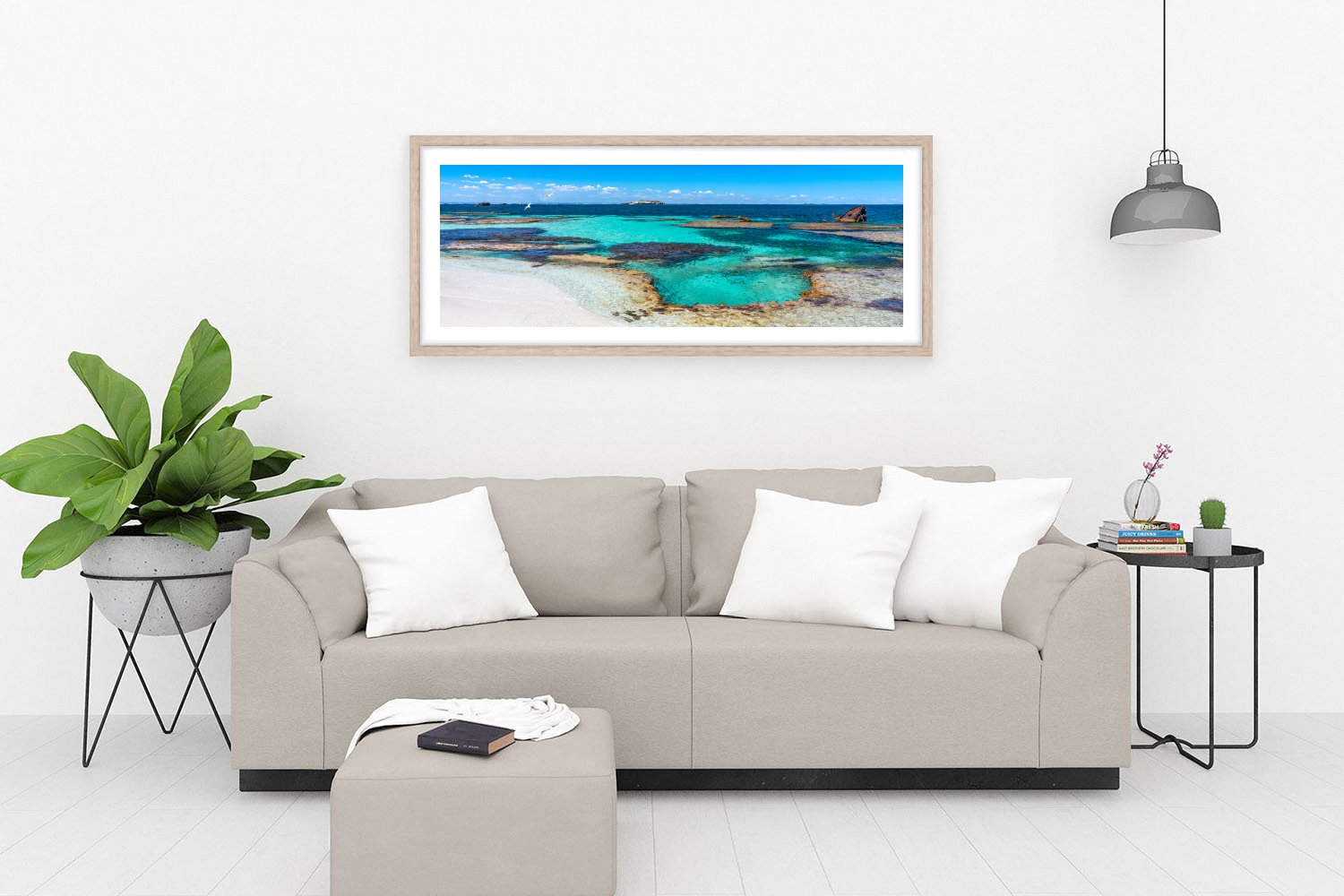 HENRIETTA ROCKS - SHIPWRECKED OAK.jpg