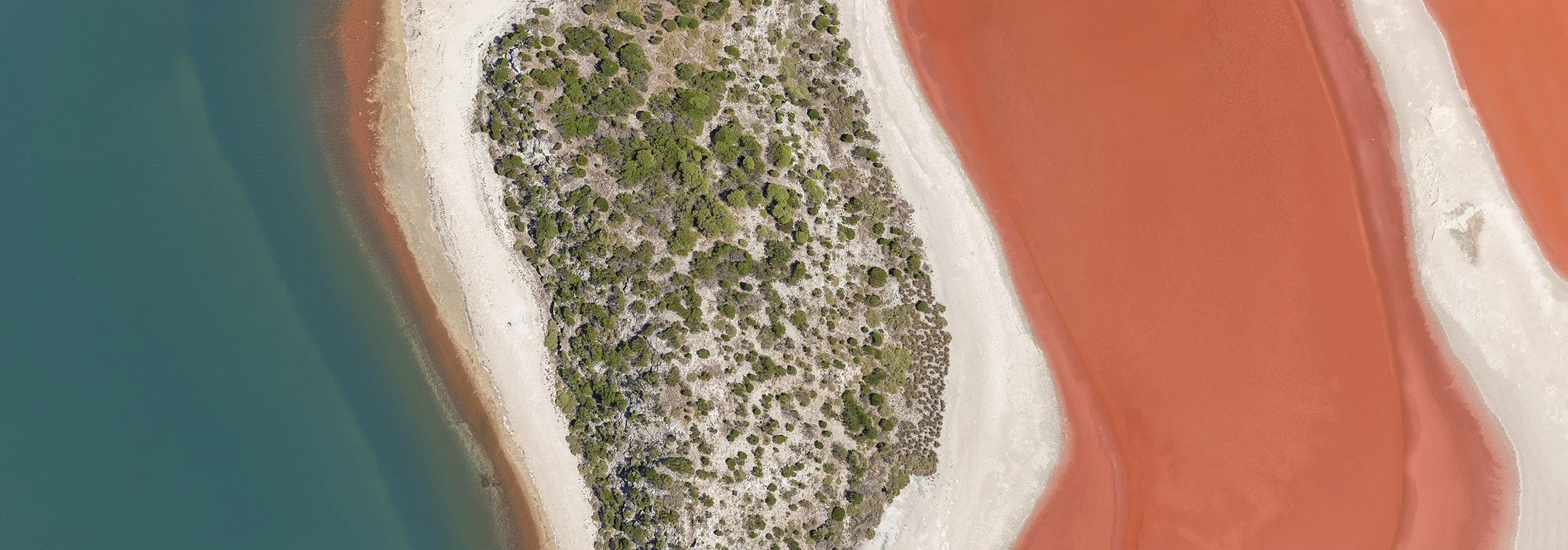 PEARSE LAKES - COLOUR SHIFTS.jpg