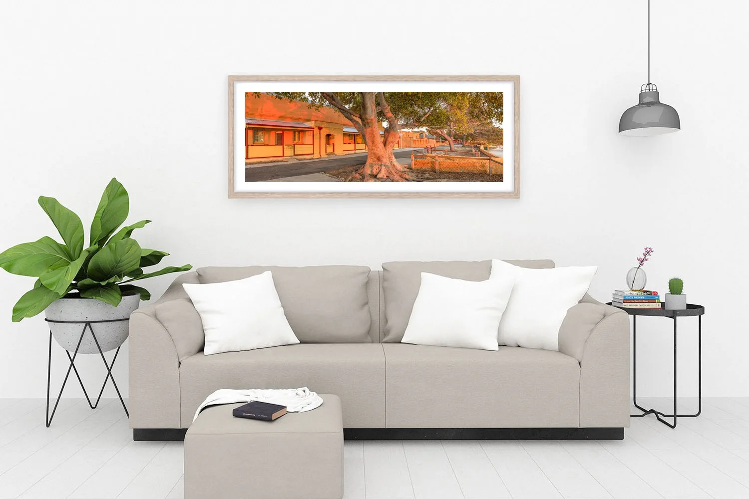 VINCENT WAY - GOOD MORNING ROTTNEST OAK.jpg