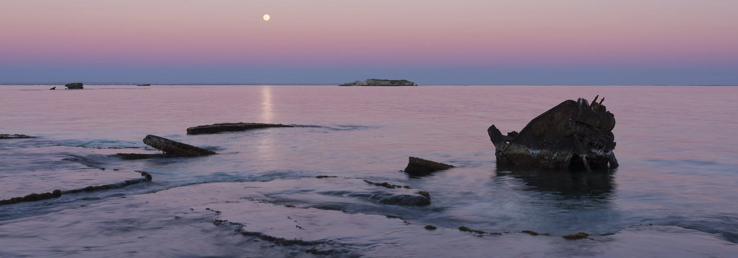 HENRIETTA ROCKS - THE SHARK.jpg