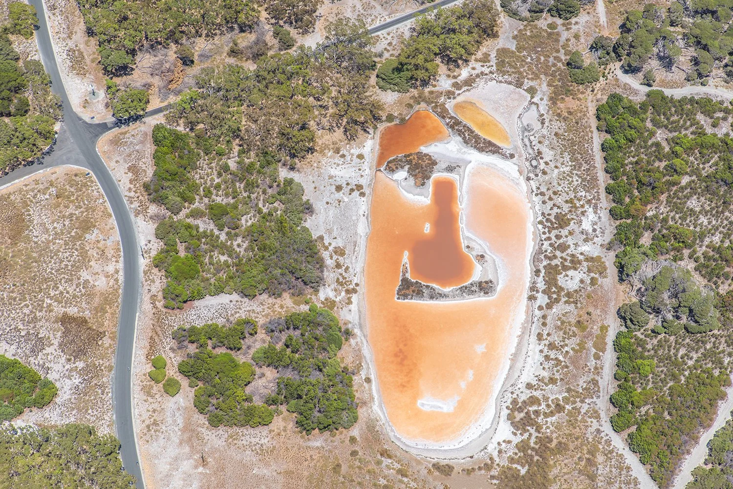 BULLDOZER SWAMP - MR POTATOHEAD.jpg