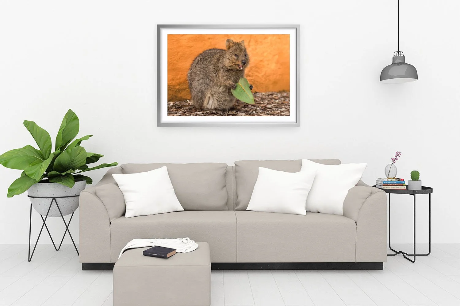 ROTTNEST ISLAND - QUOKKA LOVE SILVER.jpg