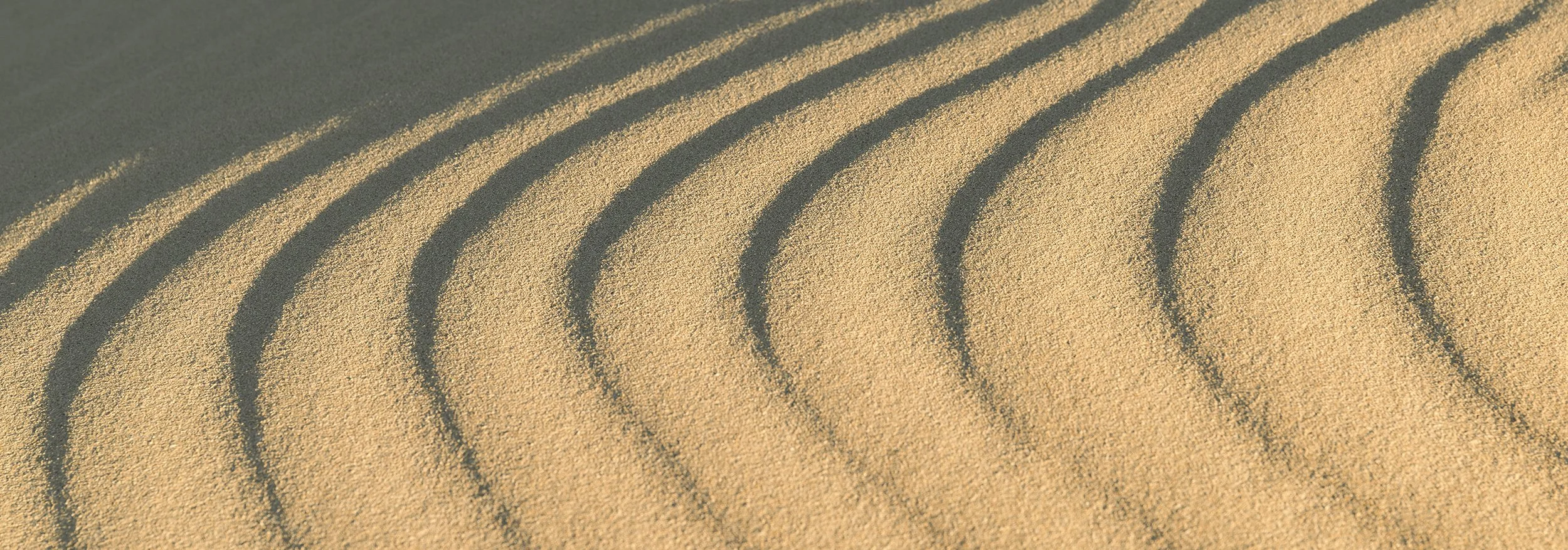 PARAKEET BAY - NATURES CURVES.jpg