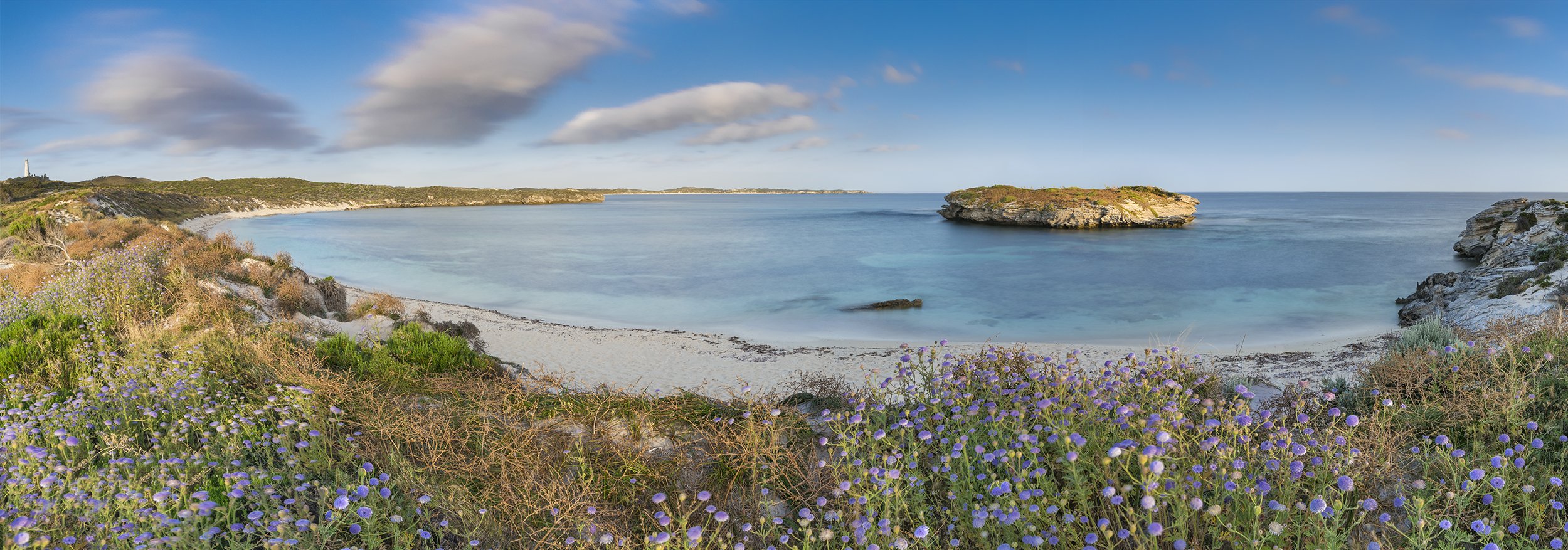 GREEN ISLAND - DAISY SEASON.jpg