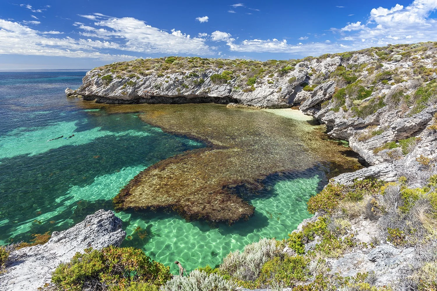 SALMON BAY - SECRET BEACH.jpg