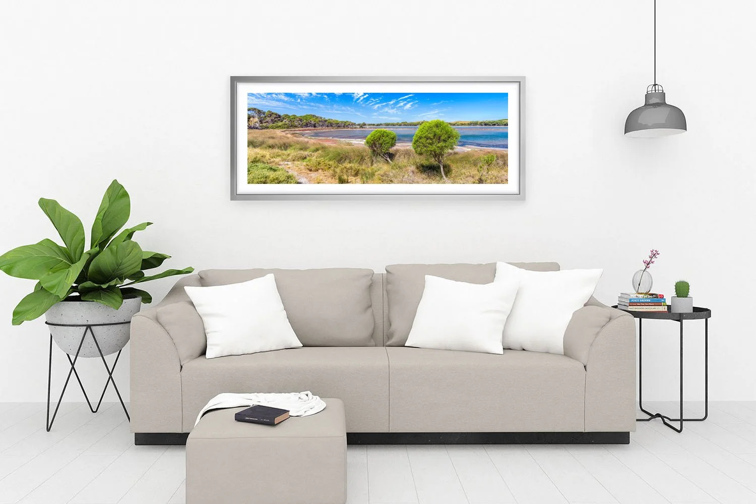 LAKE TIMPERLEY - COASTAL PITTOSPORUM SILVER.jpg