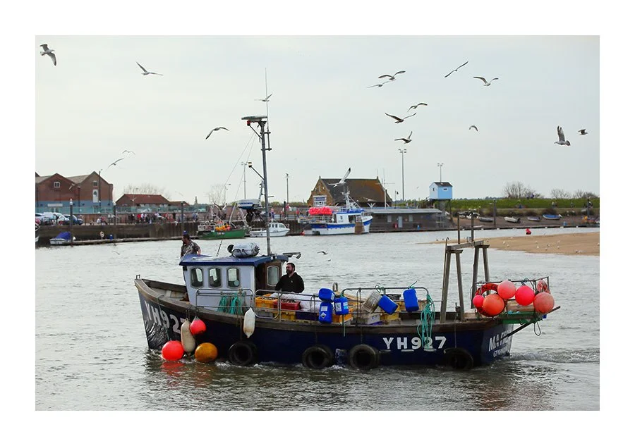A Fishing Boat returns to Port of Wells Surrounded by Seagulls