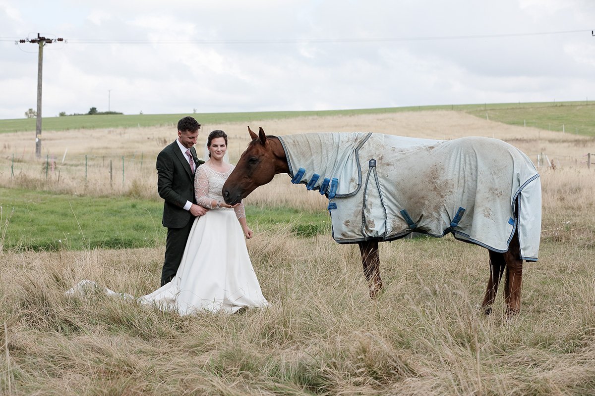 The Brides Horse