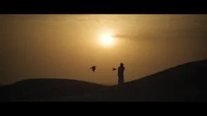 TOYOTA HYBRID - THE FALCONER