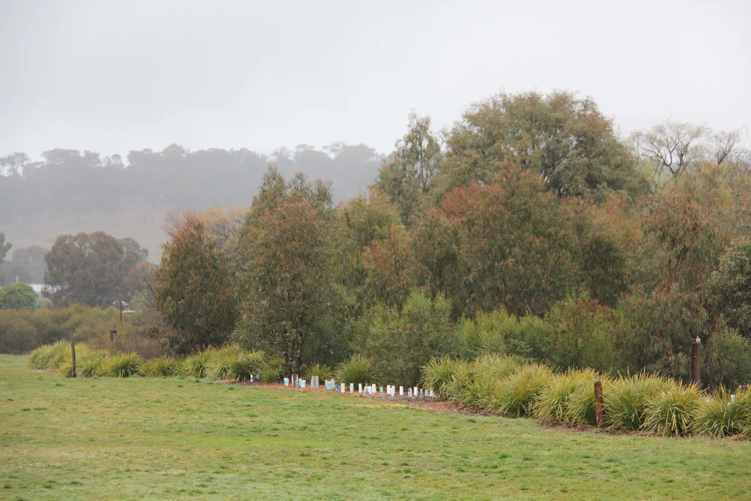 Armidale - recent improvements — Visions for Armidale Creeklands