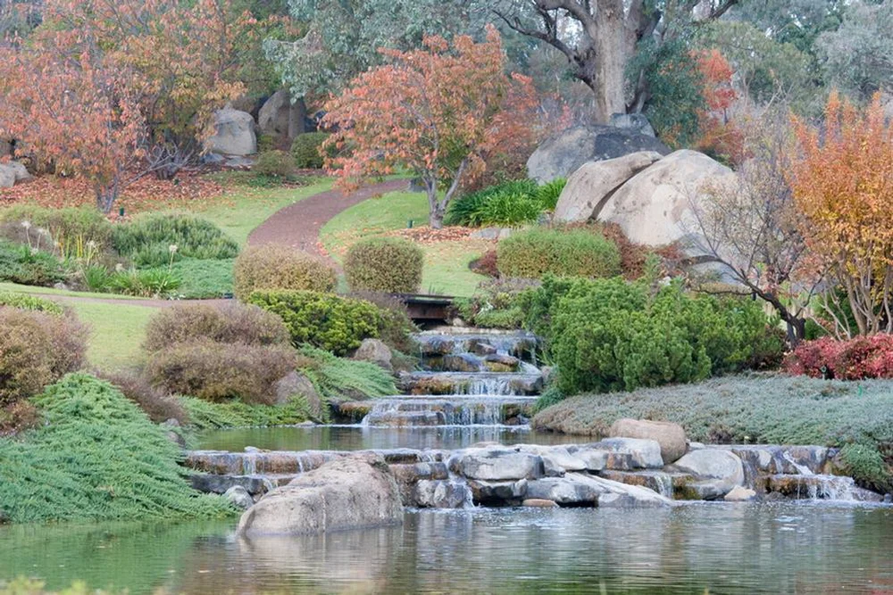 cowra-japanese-gardens.jpg