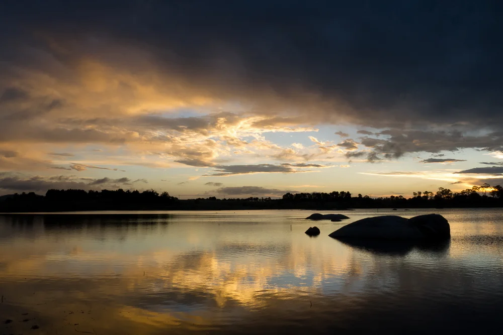 Image kindly provided by Terry Cooke photography