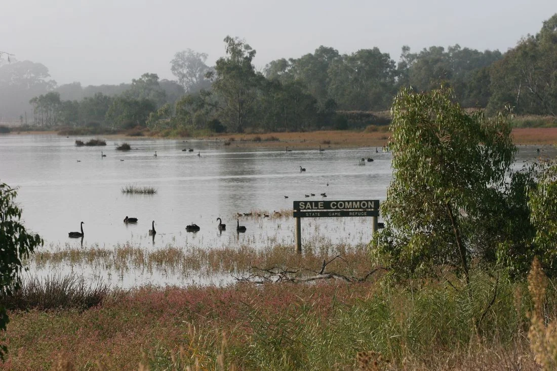 Sale (Vic) Common Nature Conservation Reserve