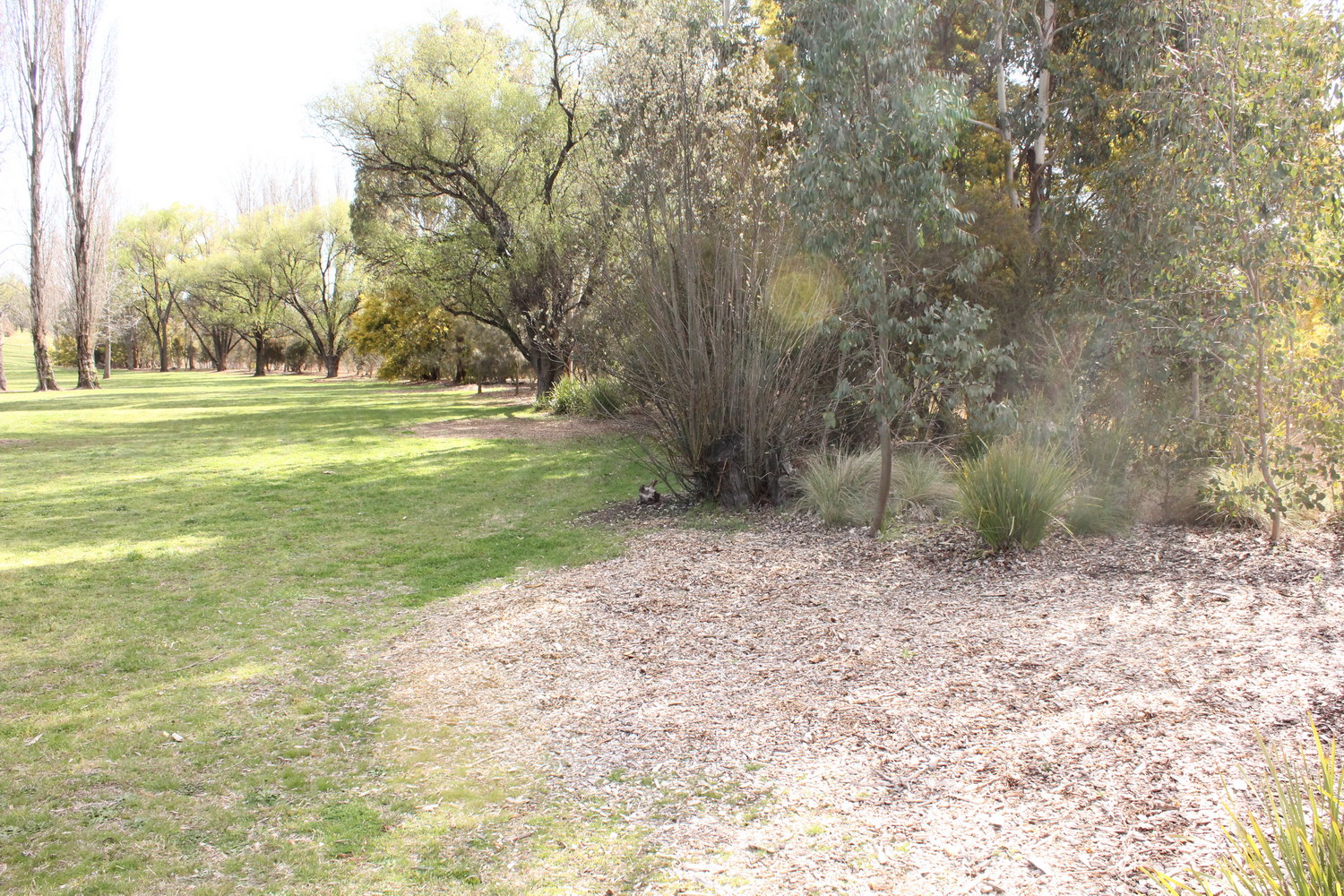 Dumaresq Creek