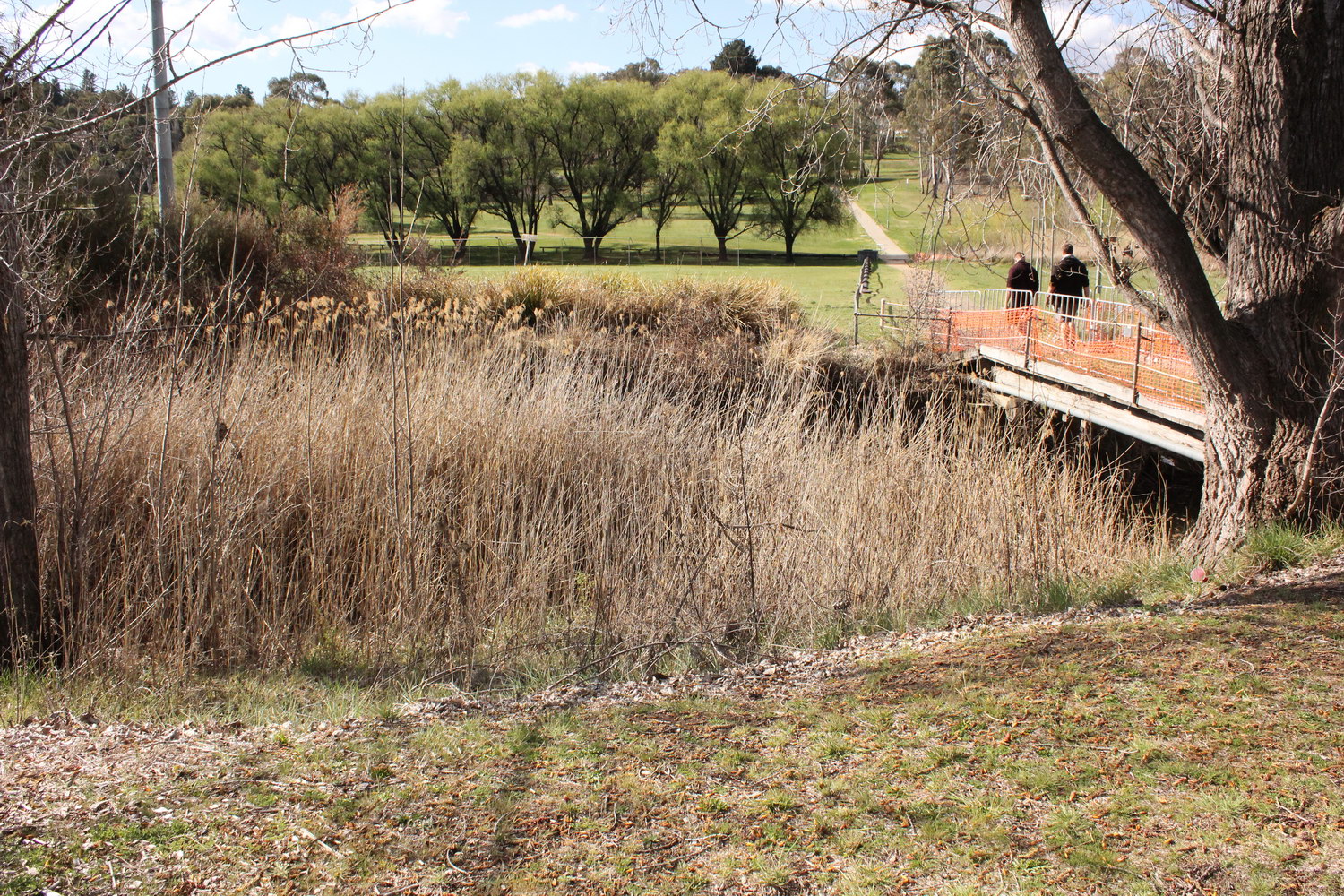 Dumaresq Creek