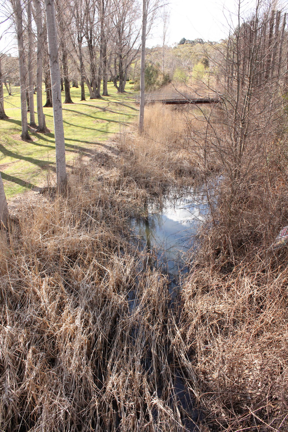 Dumaresq Creek