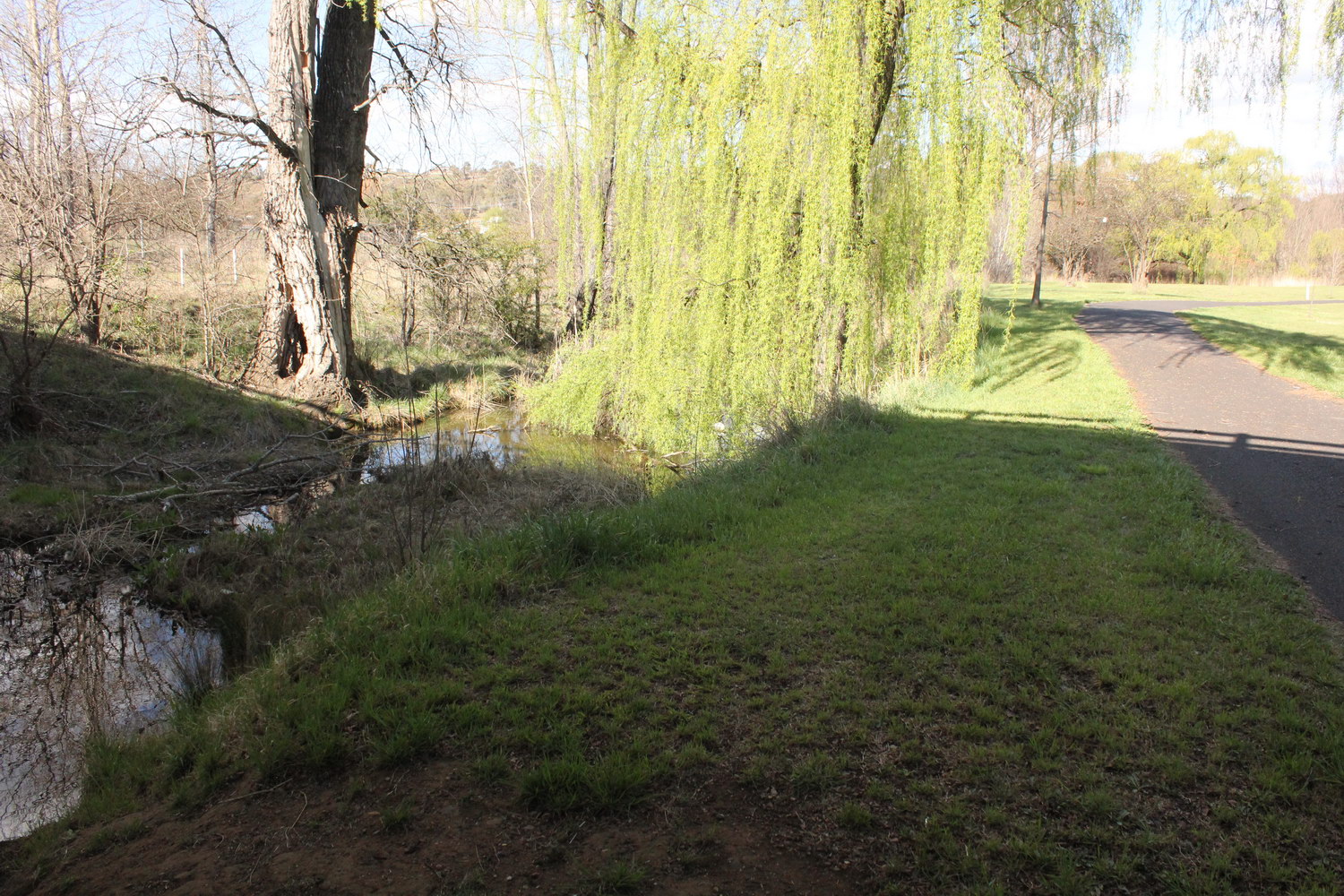 Dumaresq Creek