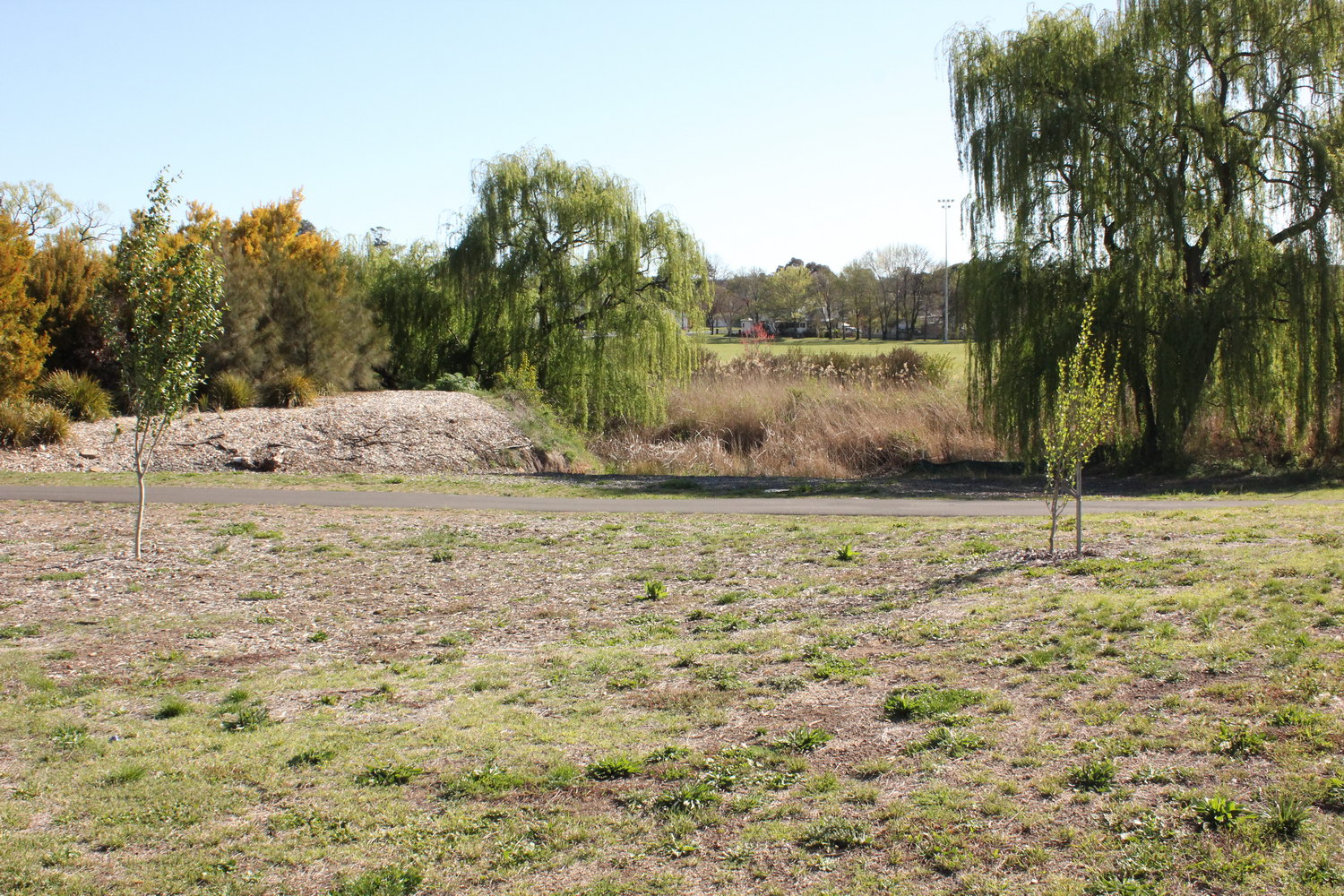 Dumaresq Creek