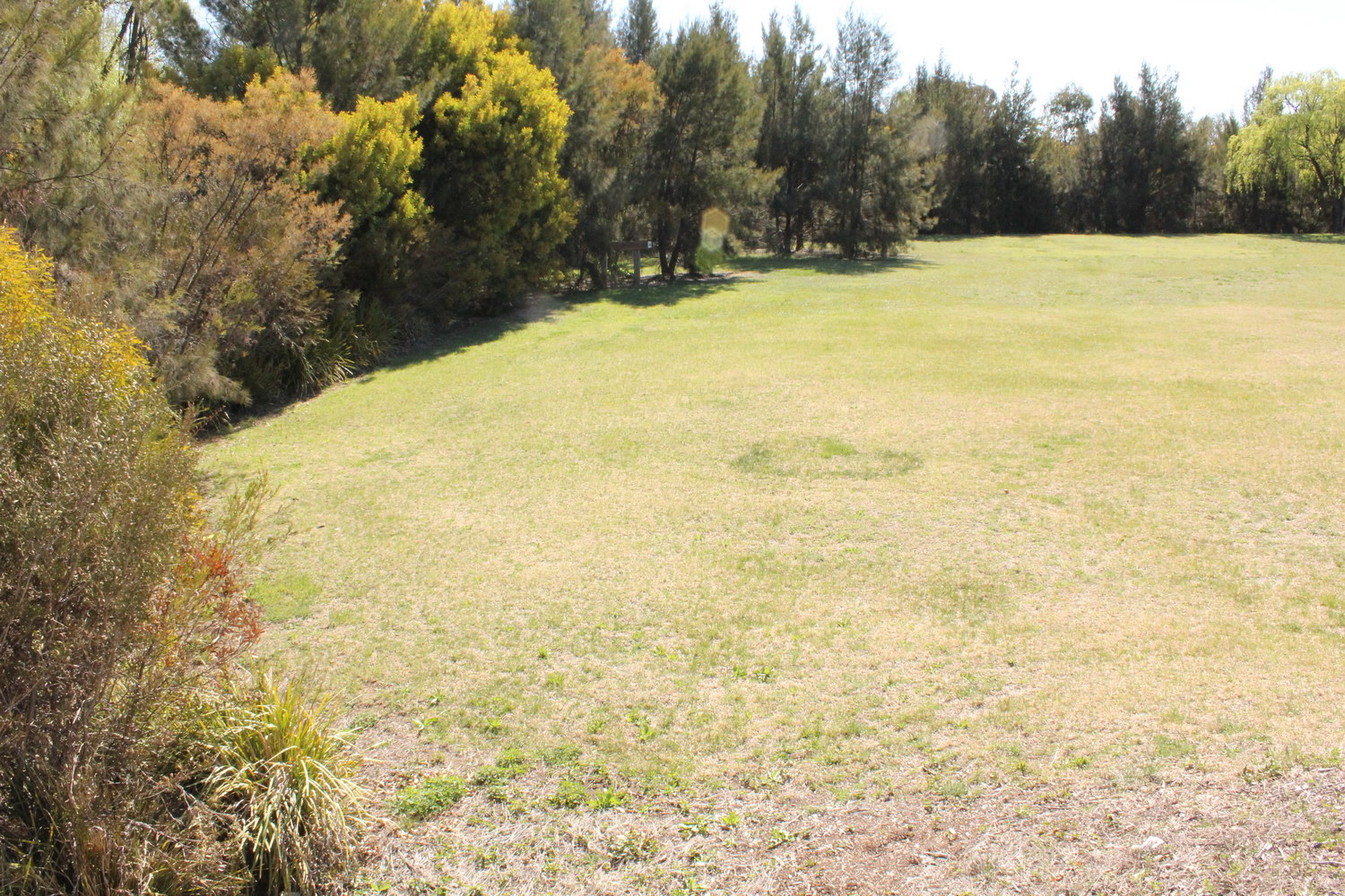 Dumaresq Creek