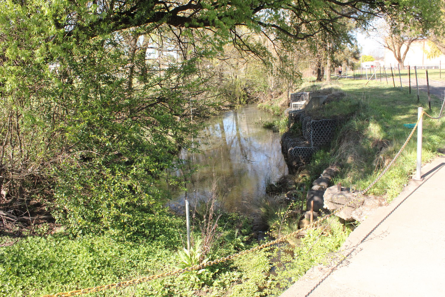 Dumaresq Creek