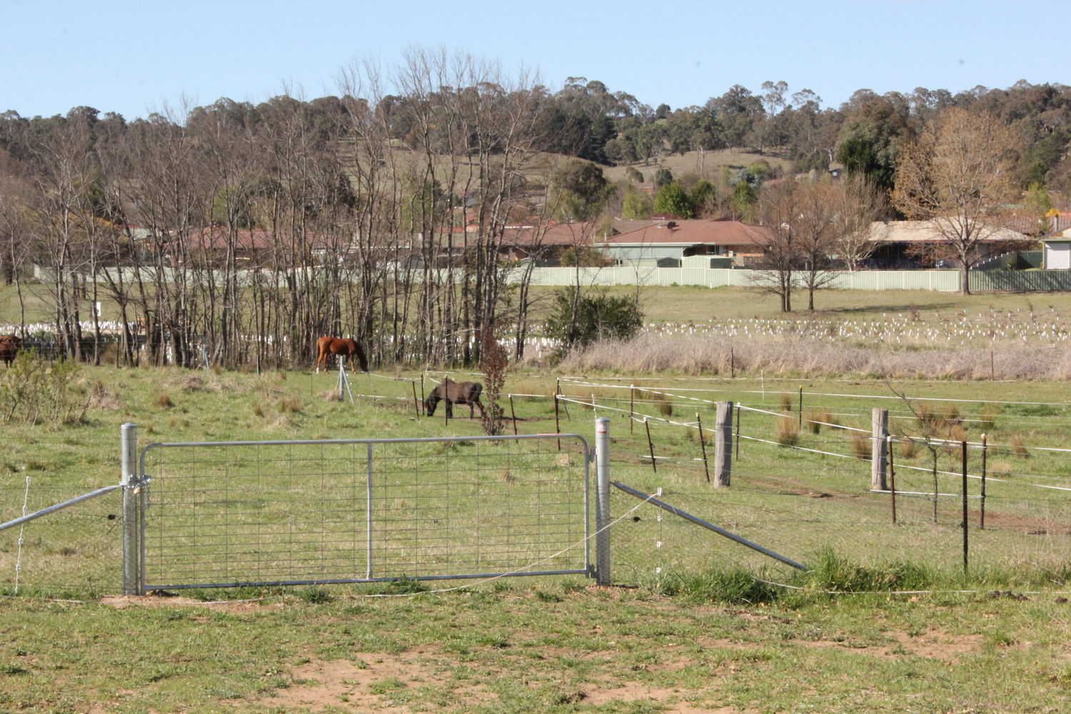 Dumaresq Creek