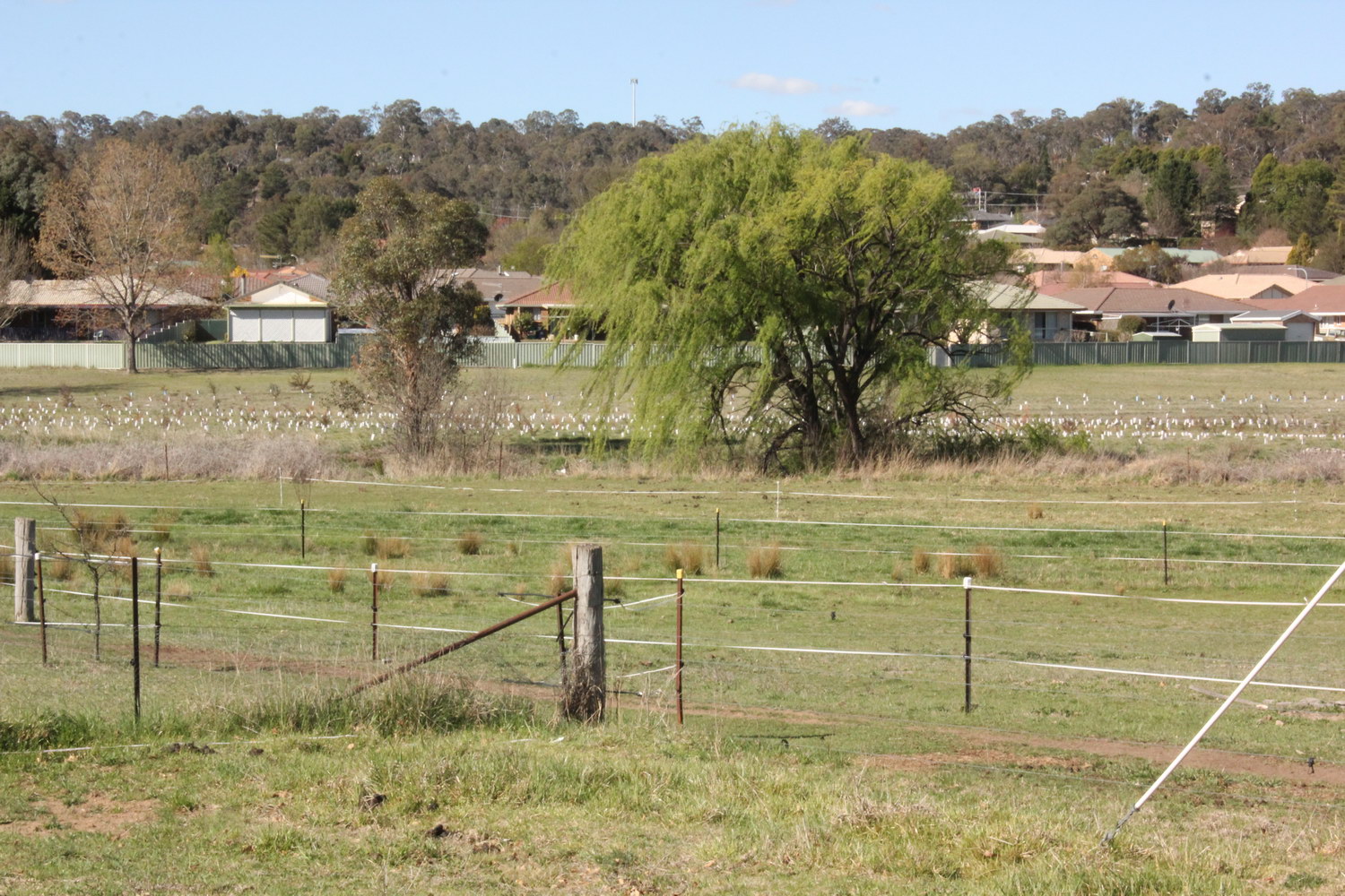 Dumaresq Creek