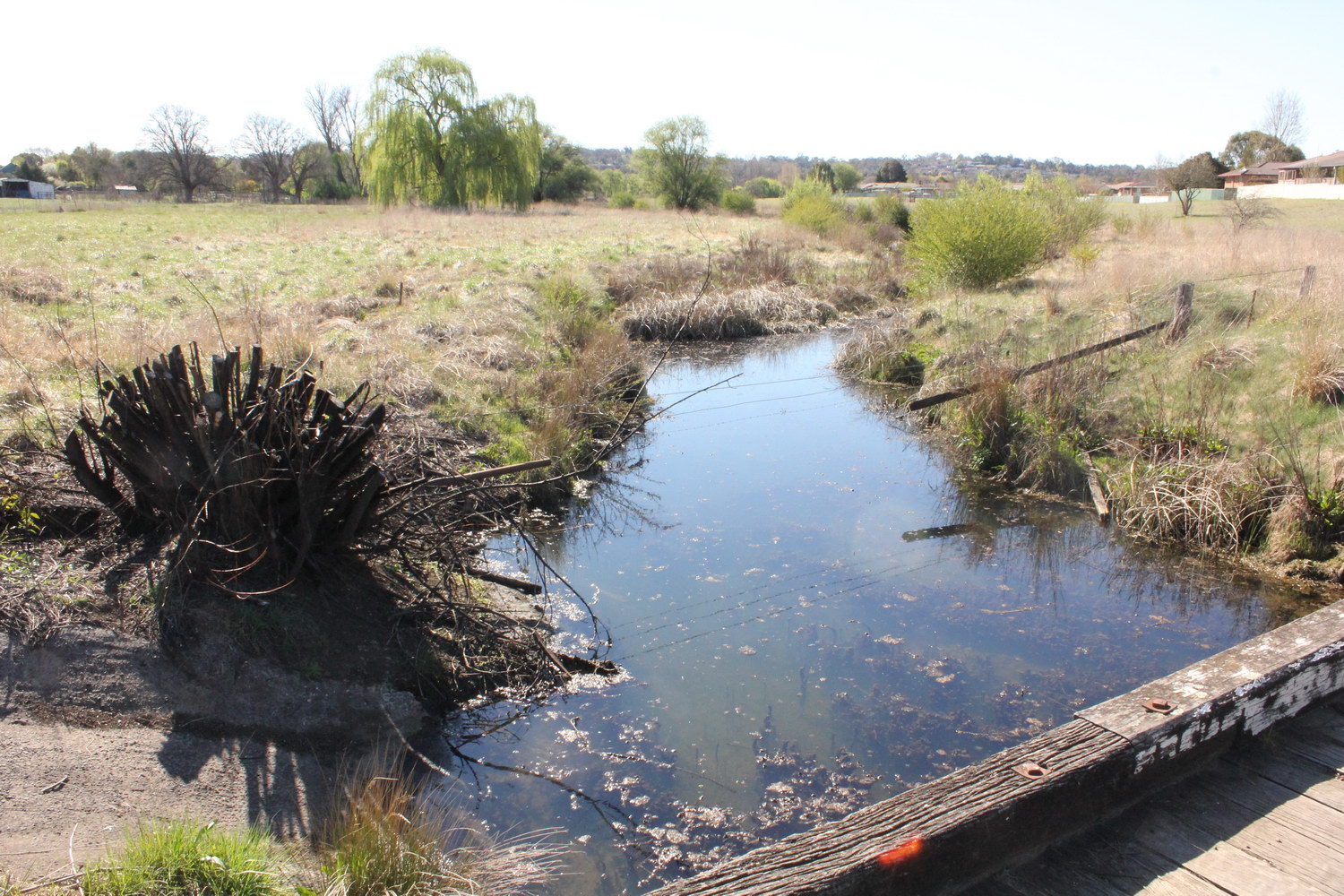 Dumaresq Creek