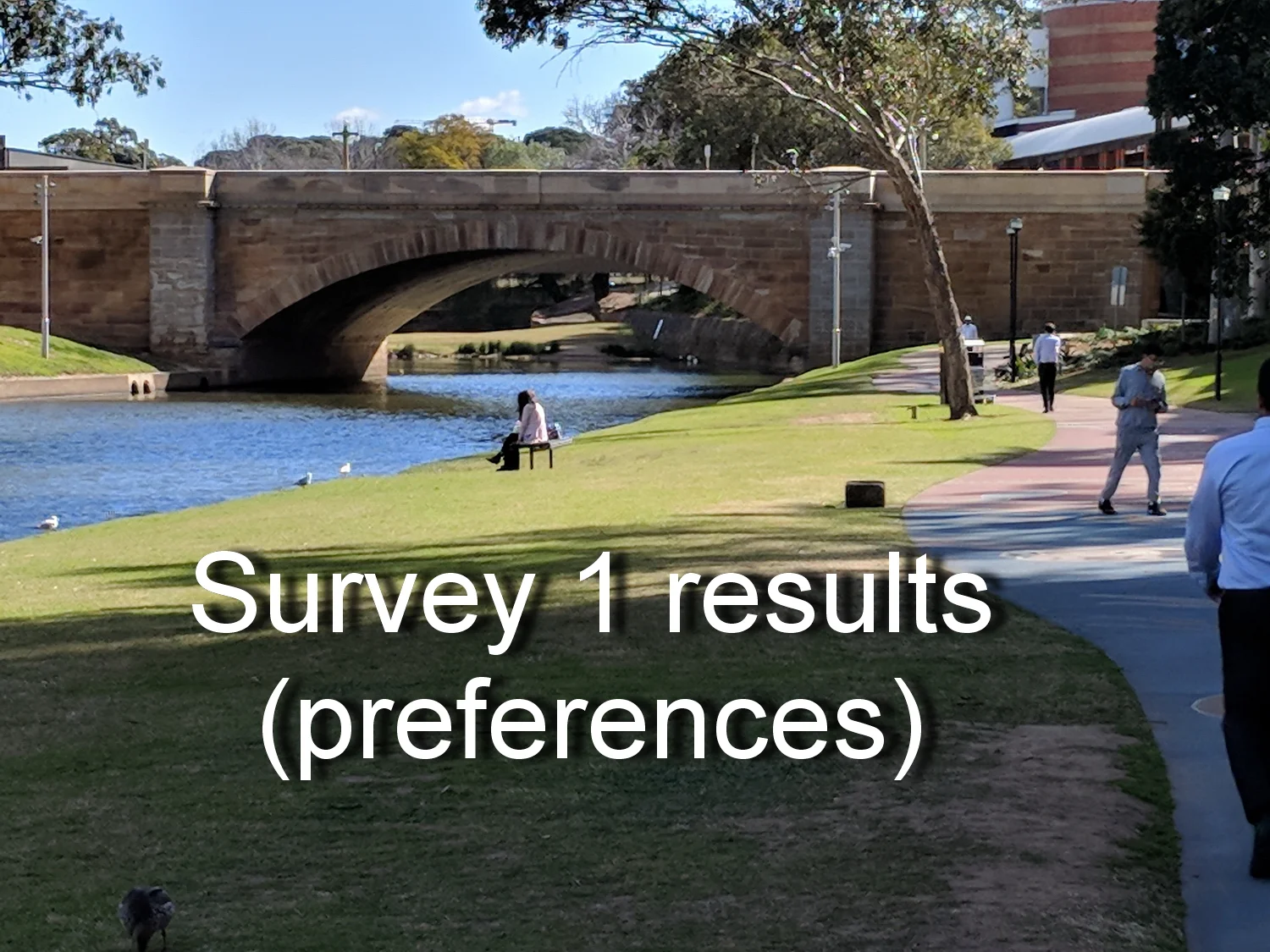 Survey 1 results